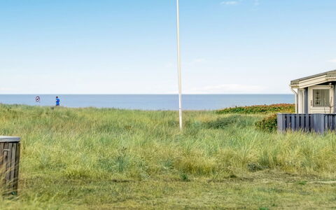 Gilbert - 96M from the Sea: Plant Community, Sunlight, Herbaceous Plant, Garden, Plantation, Agriculture, Farm