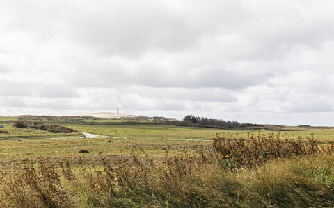 Volfgang - 250M from the Sea