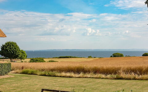 Edithe - 250M from the Sea: Sky, Blue, Green, Grass, Natural Landscape, Grassland, Horizon, Plain, Ecoregion