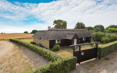 Edithe - 250M from the Sea: Grass, Roof, House, Cottage, Rural Area, Home, Land Lot, Thatching, Farmhouse, Village