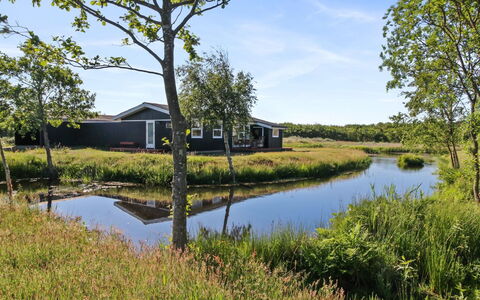 Allis - 400M from the Sea: Thatching, Cottage, House, Roof, Home, Farmhouse, Hut, Estate, Village