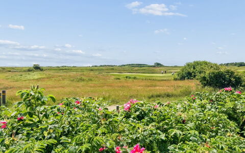 Tellervo - 2.4Km from the Sea: Sky, Flower, Cloud, Shrub, Plant Community, Groundcover, Flowering Plant, Meadow, Plantation