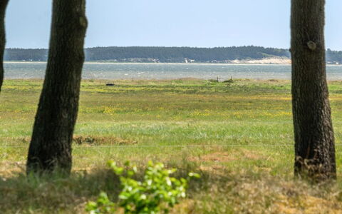 Elny - 500M to the Fjord: Plant Community, Sunlight, Herbaceous Plant, Garden, Plantation, Agriculture, Farm