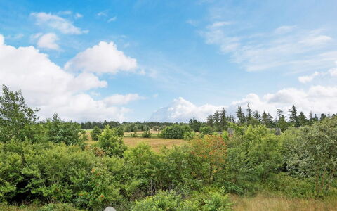 Thorben - 3.5Km from the Sea: Building, House, Wood, Home, Roof, Cottage, Residential Area, Shrub, Architecture