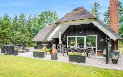 Arttu - 2.4Km from the Sea: Plant Community, Sunlight, Herbaceous Plant, Garden, Plantation, Agriculture, Farm