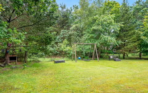 Arttu - 2.4Km from the Sea: Plant Community, Sunlight, Herbaceous Plant, Garden, Plantation, Agriculture, Farm