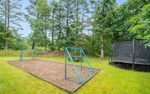 Arttu - 2.4Km from the Sea: Plant Community, Sunlight, Herbaceous Plant, Garden, Plantation, Agriculture, Farm