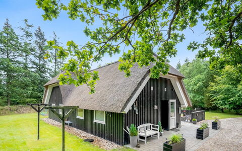 Arttu - 2.4Km from the Sea: Plant Community, Sunlight, Herbaceous Plant, Garden, Plantation, Agriculture, Farm