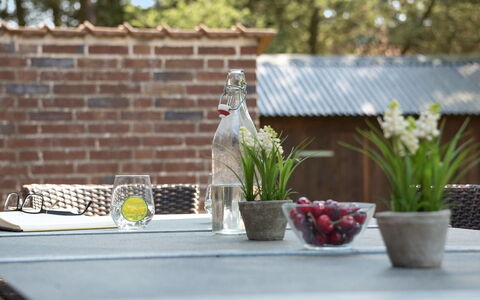 Satzur - 800M from the Sea: Flowerpot, Table, Furniture, Outdoor Table, Houseplant, Outdoor Furniture, Serveware, Chair, Food
