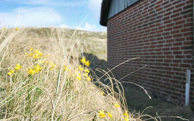 Iivari - 1.5Km from the Sea