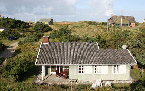 Edite - 500M from the Sea: Plant Community, Sunlight, Herbaceous Plant, Garden, Plantation, Agriculture, Farm