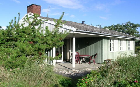 Edite - 500M from the Sea: Plant Community, Sunlight, Herbaceous Plant, Garden, Plantation, Agriculture, Farm