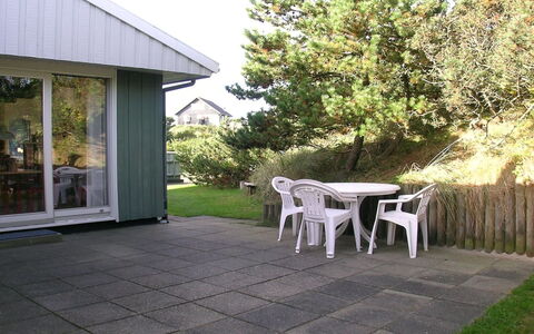 Edite - 500M from the Sea: Plant Community, Sunlight, Herbaceous Plant, Garden, Plantation, Agriculture, Farm