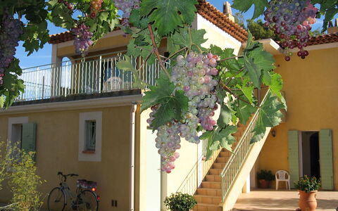 Lou Mazet: Plant, Bicycle, Property, Building, Leaf, Azure, Window, Wheel, Bicycle Wheel