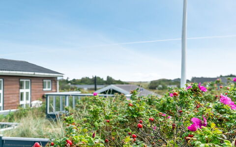 Stener - 250M from the Sea: Sky, Flower, Cloud, Shrub, Garden, Cottage, Cumulus, Landscaping, Meteorological Phenomenon, Rose Family