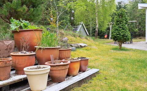 Seraphina - 2Km from the Sea: Green, Flowerpot, Shrub, Garden, Houseplant, Backyard, Pottery, Yard