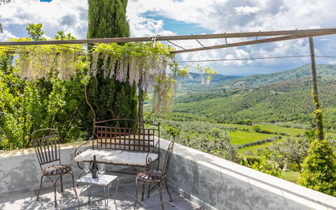 Lunaria + Solaria + Nuvola: Cloud, Sky, Plant Community, Plant, Tree, Architecture, Land Lot, Outdoor Furniture, Shade, Grass