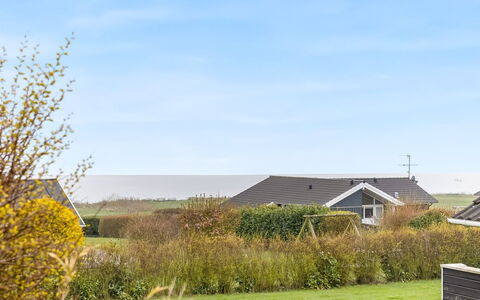 Hera - 200M from the Sea: Plant Community, Sunlight, Herbaceous Plant, Garden, Plantation, Agriculture, Farm