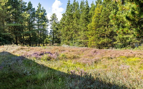 Maija - 1.4Km from the Sea: Cottage, Shed, Hut, Farmhouse, Prairie, Shack, Barn, Log Cabin, Garden Buildings