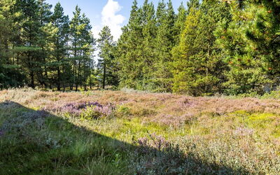 Maija - 1.4Km from the Sea
