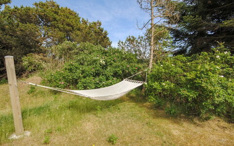 Konrad - 400M from the Sea: Plant Community, Sunlight, Herbaceous Plant, Garden, Plantation, Agriculture, Farm