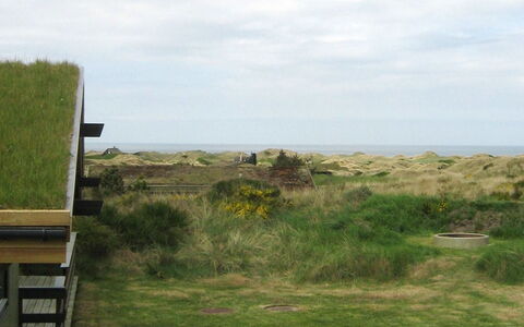 Maini - 600M from the Sea: Grass, Grassland, Vegetation, Ecoregion, Cloud, Plain, Landscape, Land Lot, Plant Community, Pasture