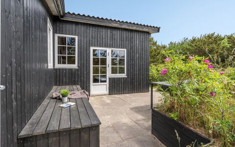 Stefana - 200M from the Sea: Plant Community, Sunlight, Herbaceous Plant, Garden, Plantation, Agriculture, Farm