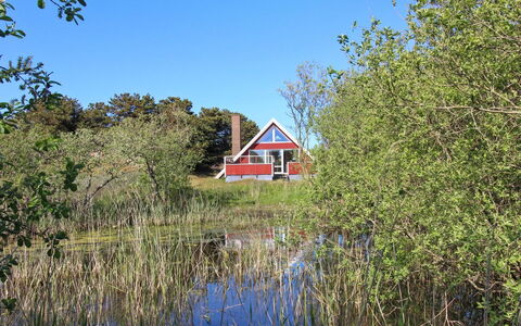 Piotr - 800M from the Sea: Grass, Natural Landscape, Grassland, Marsh, Cottage, Meadow, Prairie