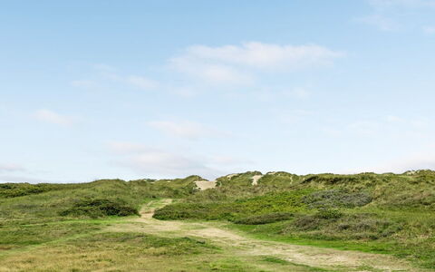Betti - 300M from the Sea: Grass, House, Roof, Home, Cottage, Shrub, Land Lot, Rural Area, Farmhouse, Groundcover