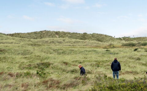 Betti - 300M from the Sea: Grass, House, Roof, Home, Cottage, Shrub, Land Lot, Rural Area, Farmhouse, Groundcover