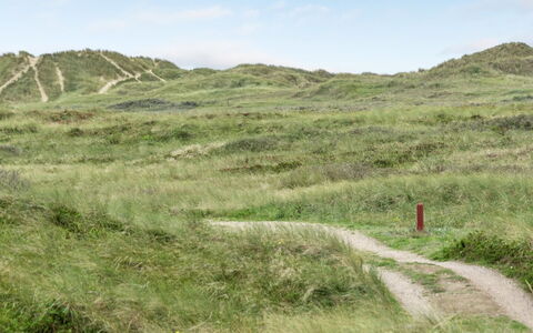 Betti - 300M from the Sea: Grass, House, Roof, Home, Cottage, Shrub, Land Lot, Rural Area, Farmhouse, Groundcover