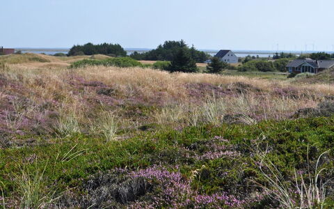 Arli - 800M from the Sea: Cottage, Shed, Hut, Farmhouse, Prairie, Shack, Barn, Log Cabin, Garden Buildings