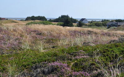 Arli - 800M from the Sea