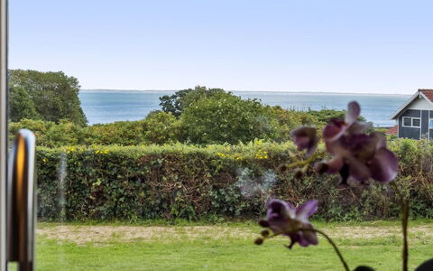 Aarne - 300M from the Sea: Grass, House, Roof, Cottage, Home, Shrub, Farmhouse, Land Lot, Rural Area