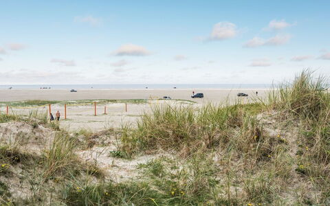 Anedorte - 50M from the Sea: Roof, House, Home, Cottage, Door, Siding, Deck, Porch, Plank, Hardwood
