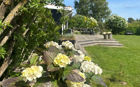 Stygge - 400M from the Sea: Flower, Shrub, Garden, Petal, Groundcover, Flowering Plant, Spring, Landscaping, Yard, Backyard