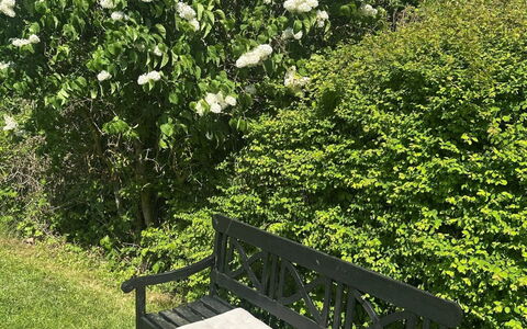 Stygge - 400M from the Sea: Leaf, Shrub, Garden, Groundcover, Spring, Woody Plant, Flowering Plant, Shade, Landscaping