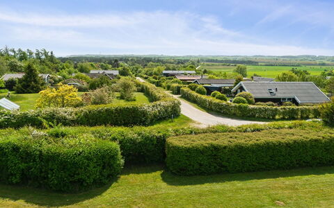 Stygge - 400M from the Sea: Green, Grass, Vegetation, Shrub, Landscape, Cloud, Land Lot, Garden, Grassland
