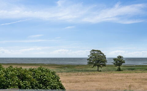 Amely - 500M from the Sea: Sky, Blue, Daytime, Cloud, Horizon, Grass, Natural Landscape, Grassland, Ecoregion, Plain