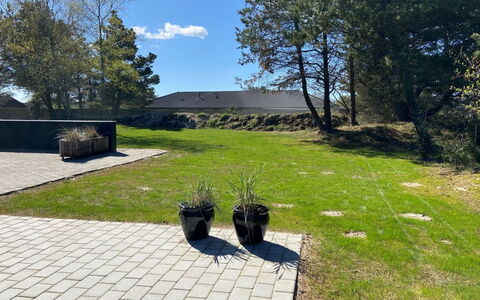 Barba - 2Km from the Sea: Grass, Shrub, Garden, Land Lot, Lawn, Groundcover, Flagstone, Shade, Landscaping