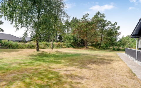 Barba - 2Km from the Sea: Plain, Garden, Lawn, Shade, Landscaping, Backyard, Driveway, Evergreen