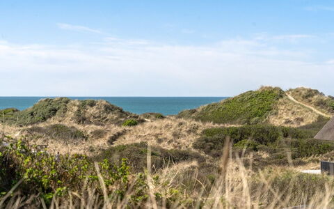 Felis - 200M from the Sea: 