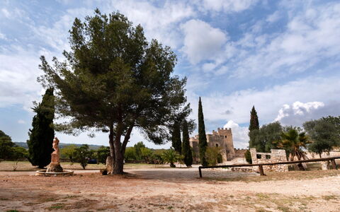 Mas D'En Tarres: Property, Sky, Table, Wood, Shade, Floor, Outdoor Furniture, Chair, Flooring, Wood Stain