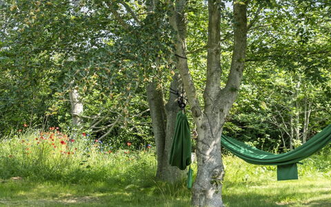 Leevi - 150M from the Sea: Green, Leaf, Trunk, Groundcover, Woody Plant, Spring, Lawn, Shade, Garden, Woodland