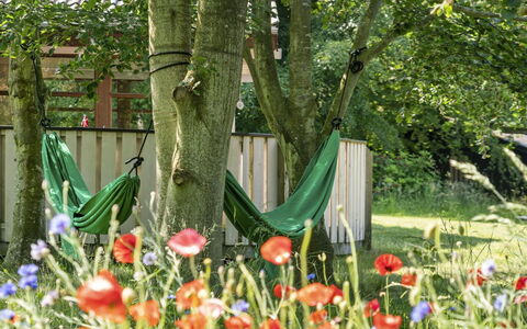 Leevi - 150M from the Sea: Green, Leaf, Summer, Garden, Shrub, Lawn, Spring, Groundcover, Trunk