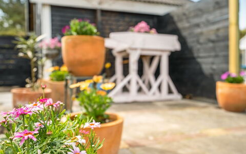 Katri - 500M from the Sea: Flowerpot, Houseplant, Garden, Outdoor Furniture, Floristry, Chair, Landscaping, Yard, Courtyard