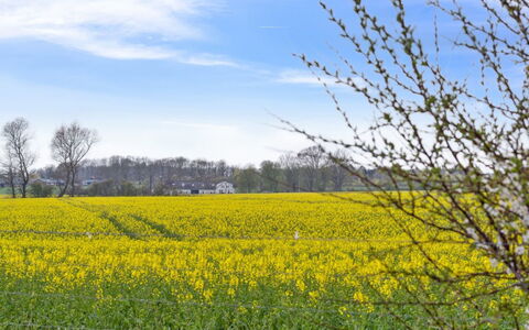 Malfred - 500M from the Sea: Plant Community, Sunlight, Herbaceous Plant, Garden, Plantation, Agriculture, Farm