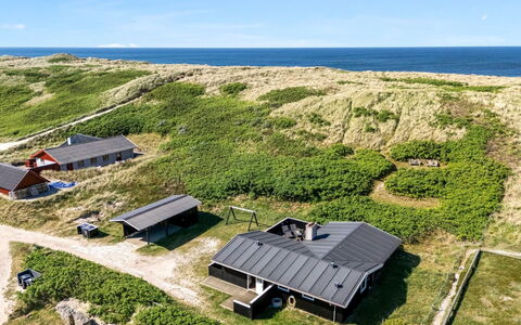 Lill - 50M from the Sea: Plant Community, Sunlight, Herbaceous Plant, Garden, Plantation, Agriculture, Farm