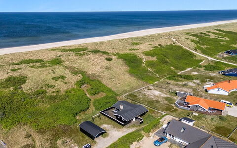 Lill - 50M from the Sea: Plant Community, Sunlight, Herbaceous Plant, Garden, Plantation, Agriculture, Farm