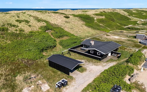 Lill - 50M from the Sea: Plant Community, Sunlight, Herbaceous Plant, Garden, Plantation, Agriculture, Farm